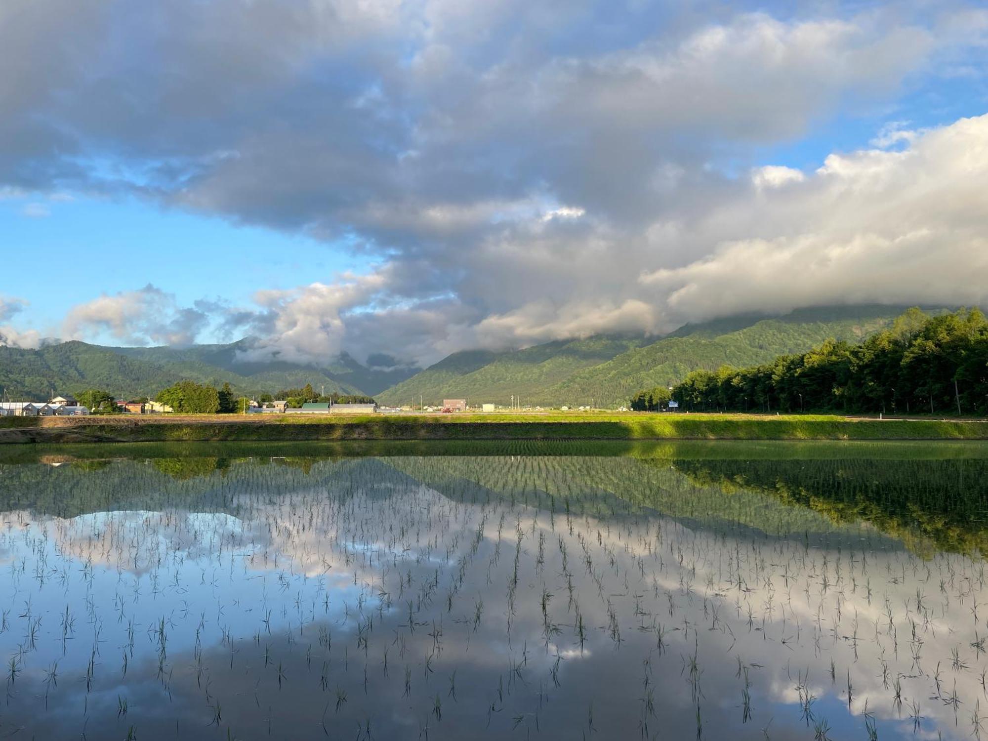 Urasa @ Snow Countryside * Minamiuonuma